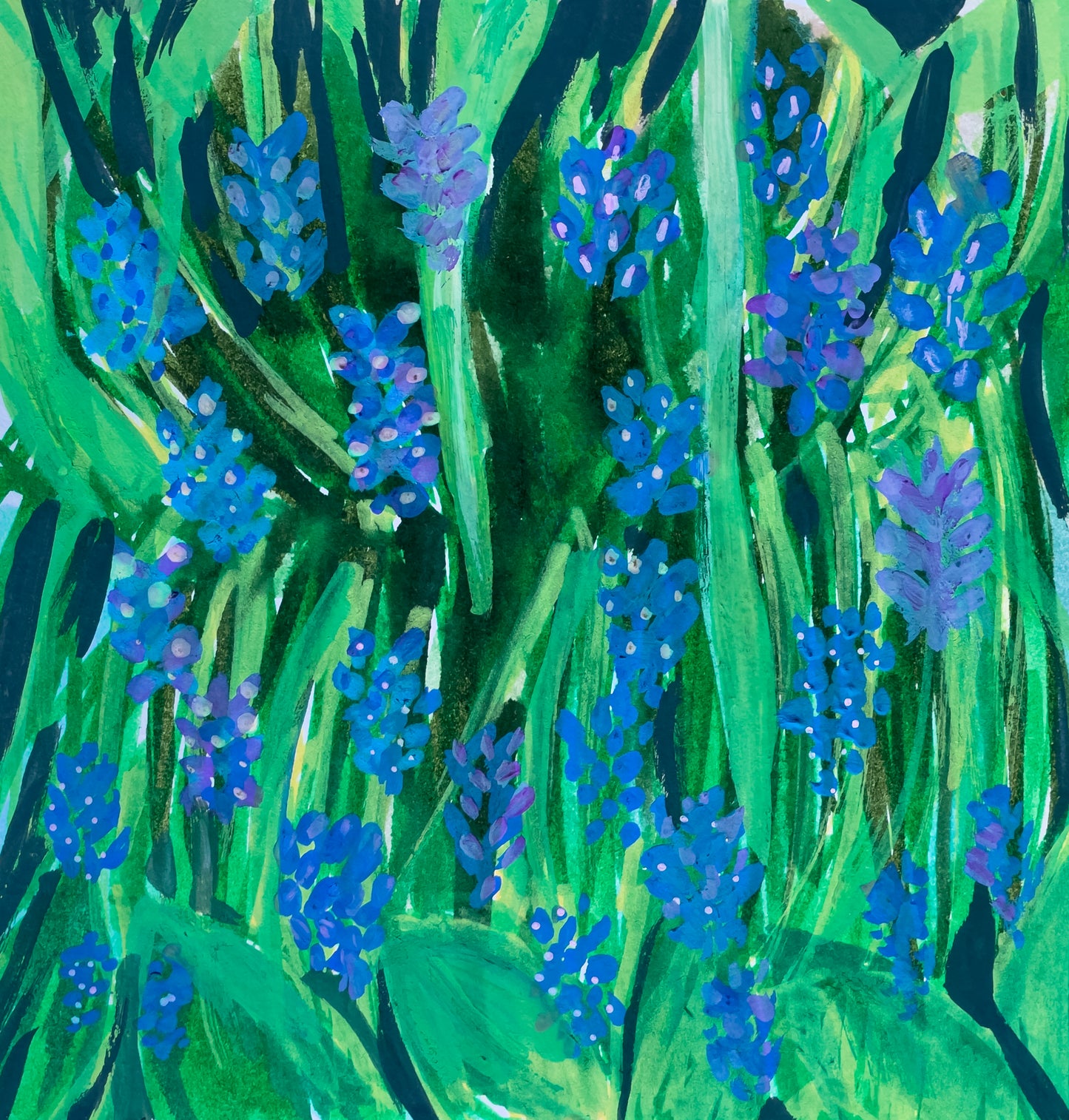 Grape Hyacinths