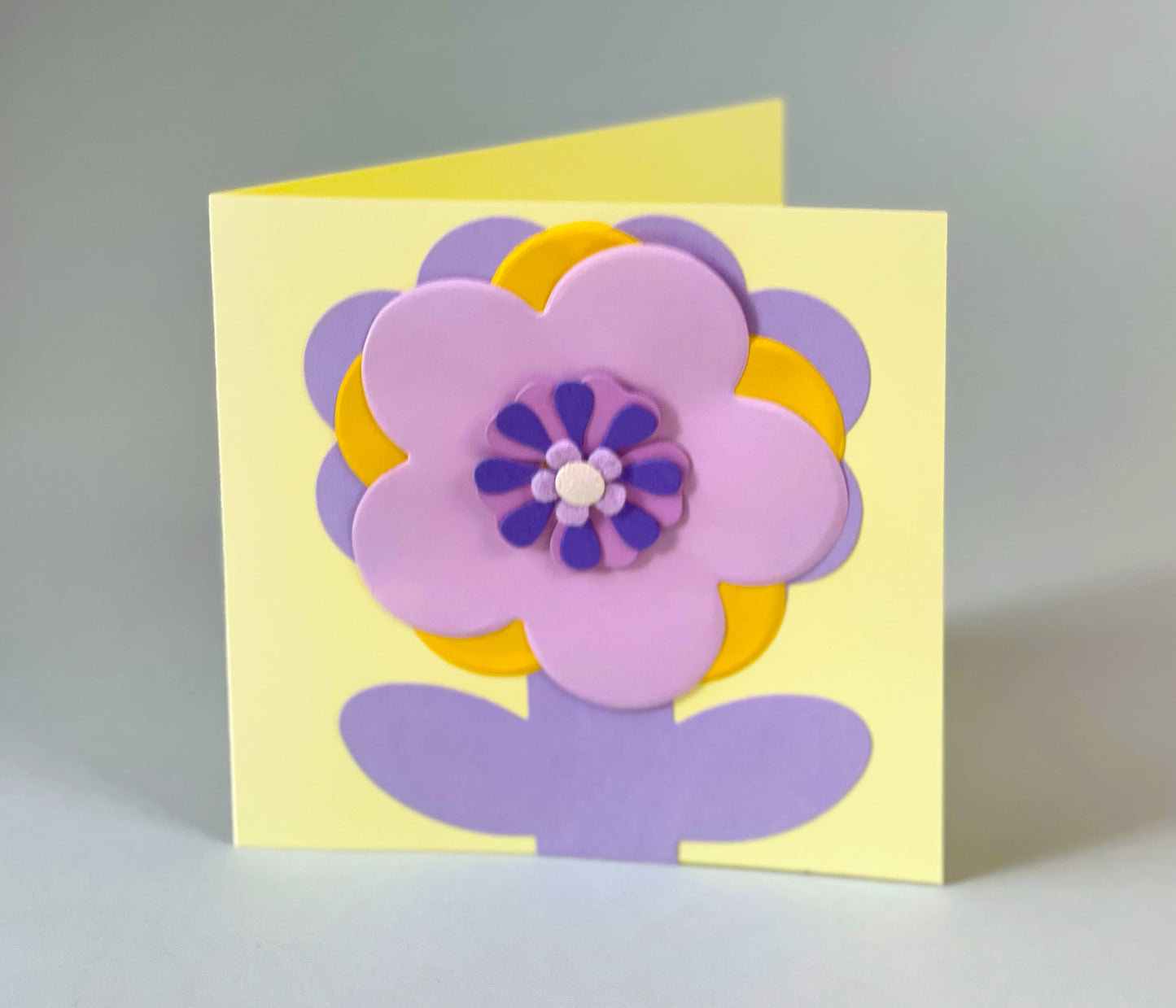 Purple Daisy