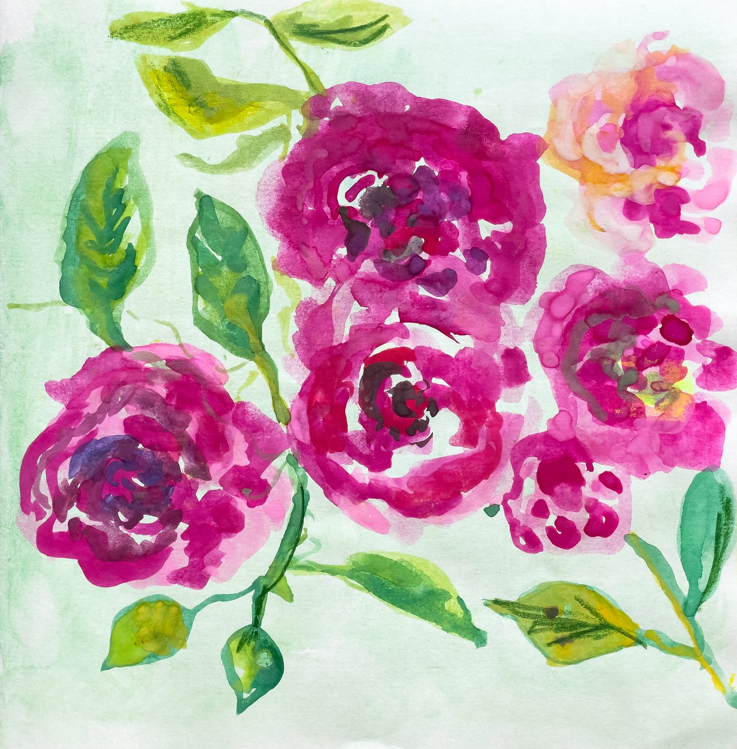 Jacqui's Roses
