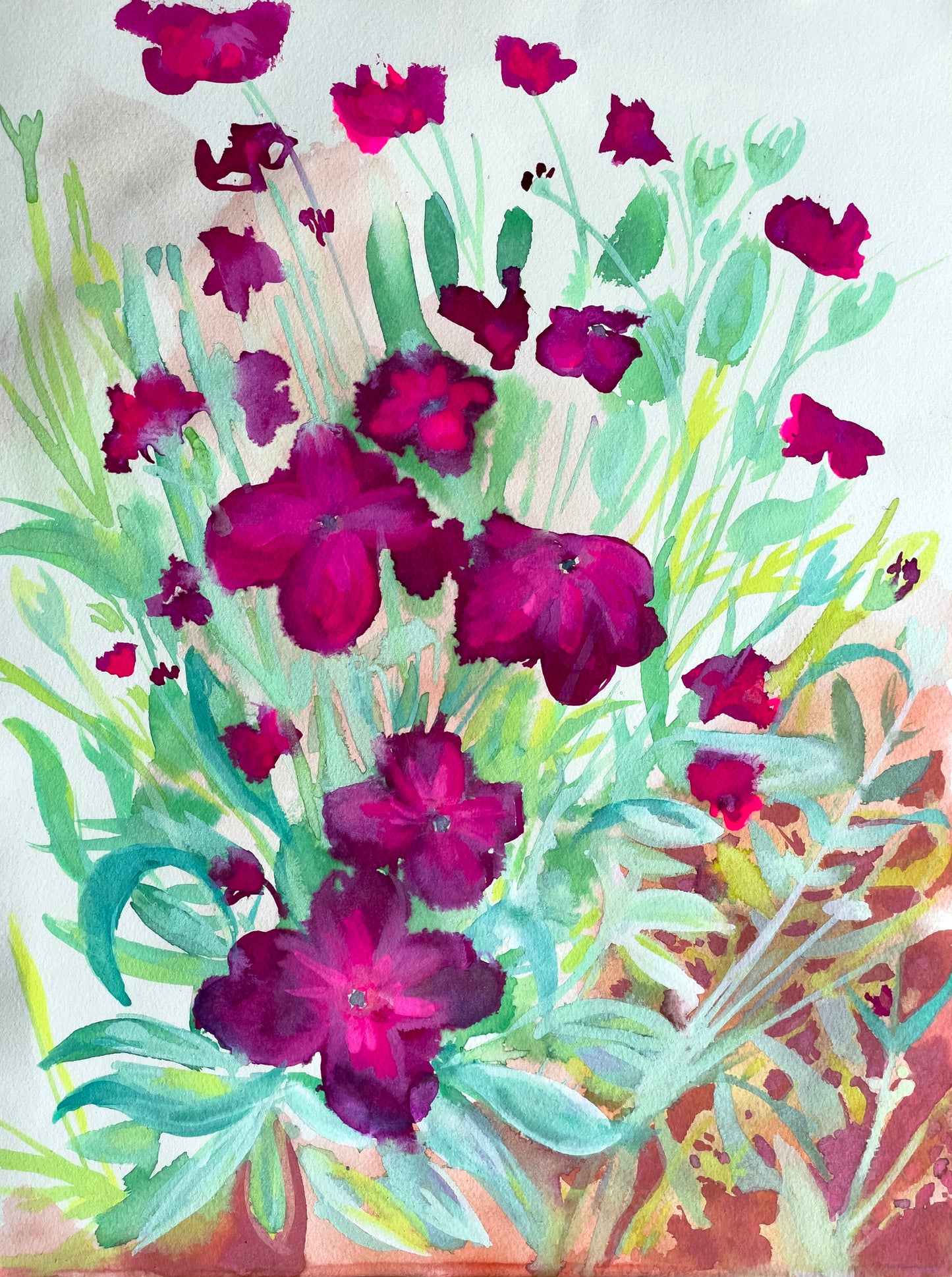 Megan's Campion | A3 Print