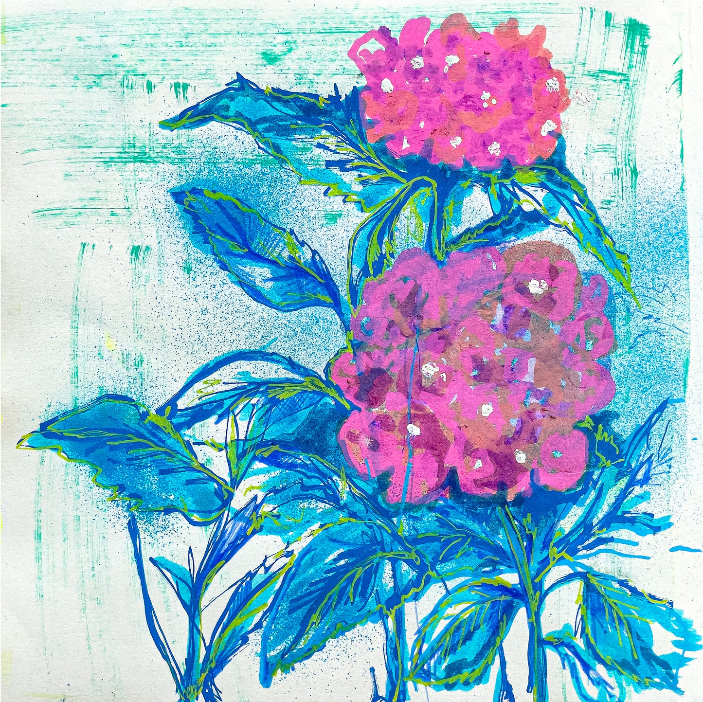 Pink Hydrangeas