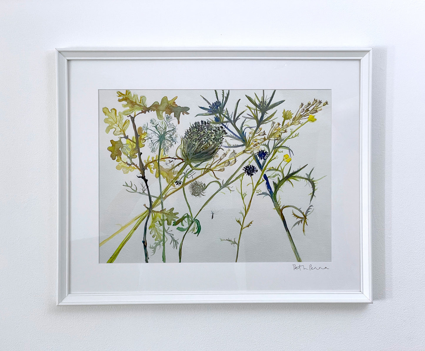 Sibillini Mountain Flowers | A3 Print